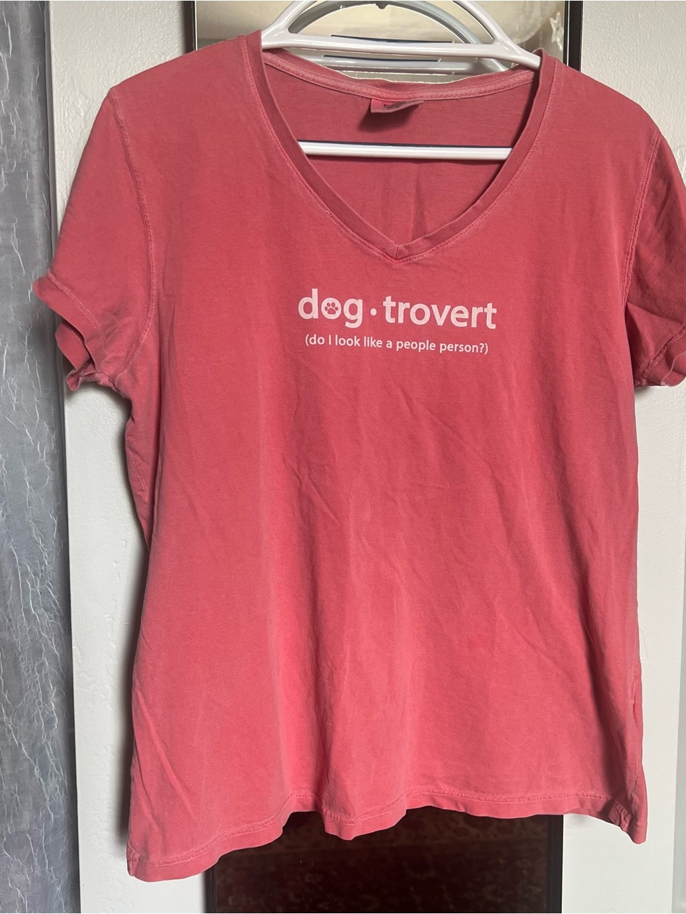 Comfort Colors Coral Pink V‑Neck Dog Lover T‑Shirt
